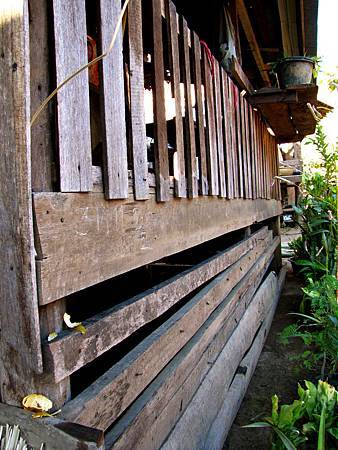 IMG_2955 IMG_2955