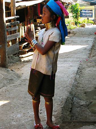 IMG_2956 IMG_2956