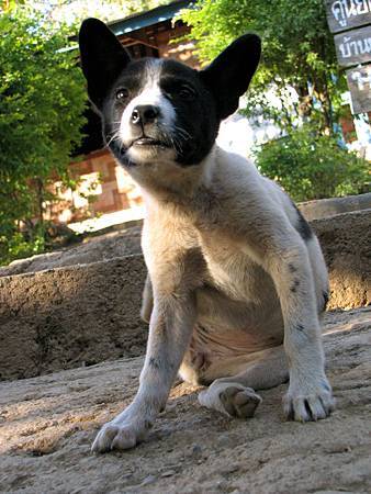 IMG_3070 IMG_3070