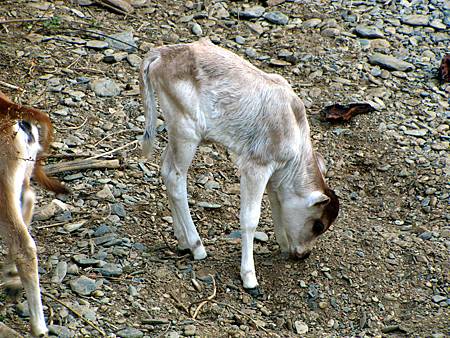 IMG_3084 IMG_3084