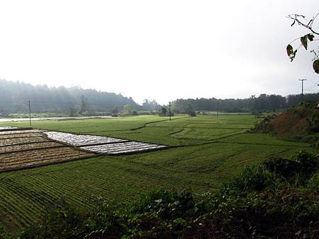 IMG_3265 IMG_3265