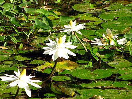 IMG_3312 IMG_3312