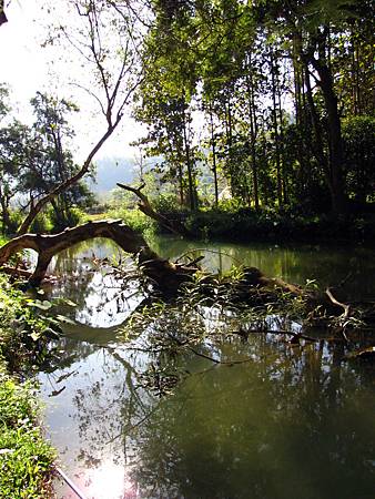 IMG_3313 IMG_3313