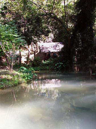 IMG_3321 IMG_3321