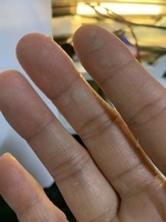 IMG_7775.JPG - 試用