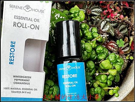 (精油)Serene House 活絡甦醒精油滾珠瓶:我的提 (精油)Serene House 活絡甦醒精油滾珠瓶:我的提