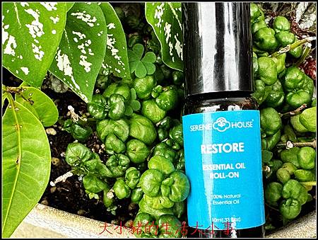 (精油)Serene House 活絡甦醒精油滾珠瓶:我的提 (精油)Serene House 活絡甦醒精油滾珠瓶:我的提