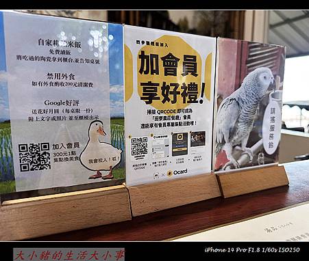 【田寮農莊】台中南屯的田園秘境:親子同樂的寵物友善景觀餐廳 【田寮農莊】台中南屯的田園秘境:親子同樂的寵物友善景觀餐廳