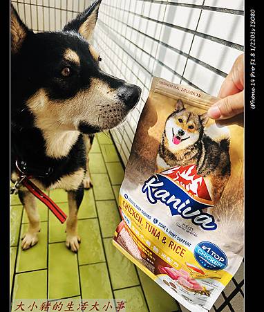 Kaniva卡咪哇寵物食品：全齡犬-雞.鮪.米配方 寵物的最