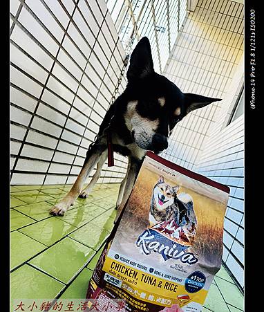 Kaniva卡咪哇寵物食品：全齡犬-雞.鮪.米配方 寵物的最