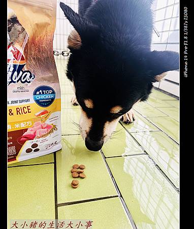 Kaniva卡咪哇寵物食品：全齡犬-雞.鮪.米配方 寵物的最