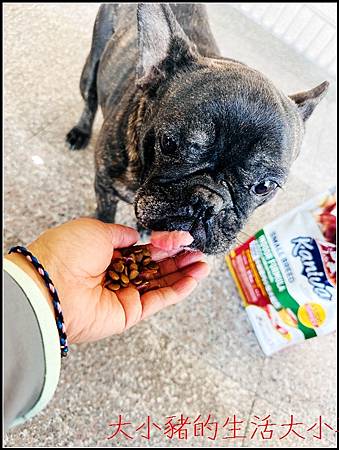 Kaniva卡咪哇全齡室內小型犬配方｜毛孩最愛的健康飼料＋手