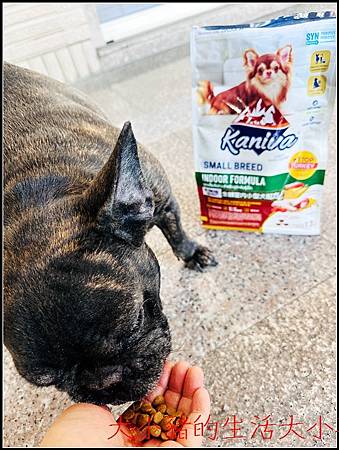 Kaniva卡咪哇全齡室內小型犬配方｜毛孩最愛的健康飼料＋手