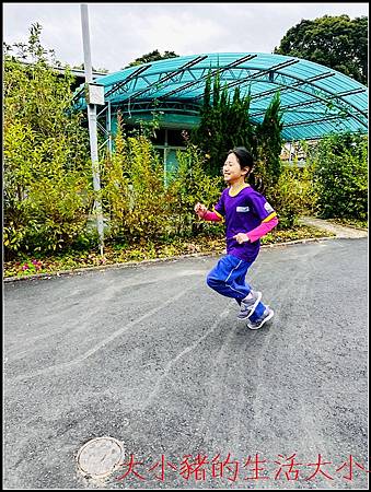 🌸 媽媽的用心守護｜讓孩子的小肚肚更舒暢、更健康 🌸