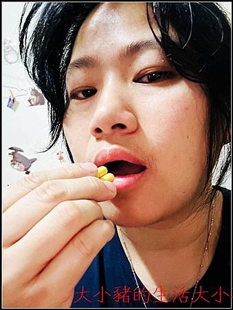 【寶晶Prolactix 乳鐵蛋白系列】營養補充推薦｜忙碌生