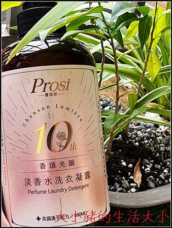🧺PROSI 淡香水洗衣凝露｜洗衣推薦：洗完香到腳都在感謝我