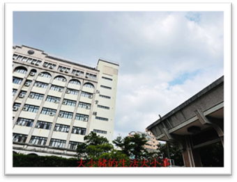 🚗【推薦】山立樹美國金盞花小清晰｜消旋玉米黃素 ✨晶亮5合1