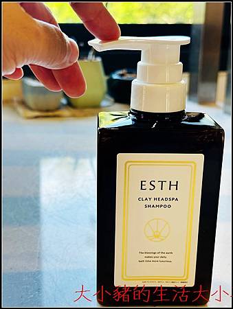 ESTH 恩絲 泥萃淨養SPA洗髮精推薦｜從頭皮開始的舒服改