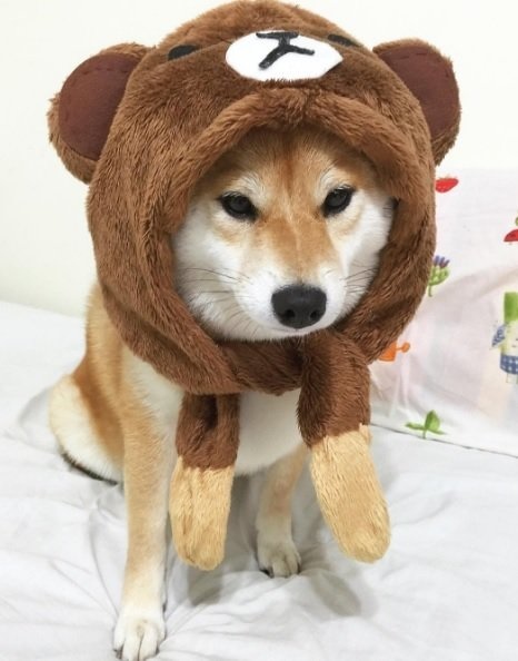 jaowPvb.jpg jaowPvb.jpg