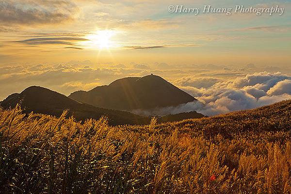 陽明山