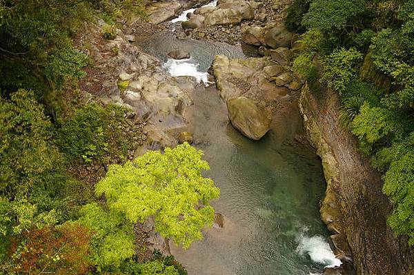 社青苗栗南庄旅遊 (52).jpg