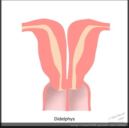 3E6D6CFD-9BA7-4E8E-9C49-27FCC8AA9A1D.jpeg 3E6D6CFD-9BA7-4E8E-9C49-27FCC8AA9A1D.jpeg