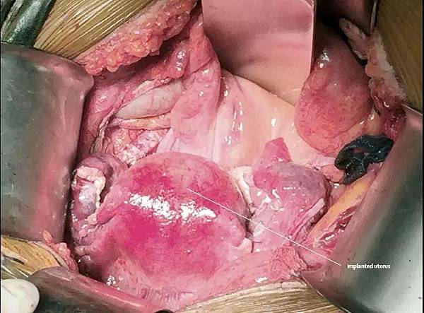 1544147279847.jpg 1544147279847.jpg