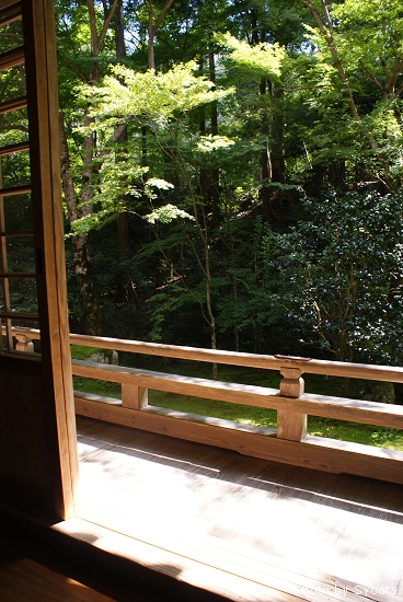 D2-3 大原三千院 (40).jpg