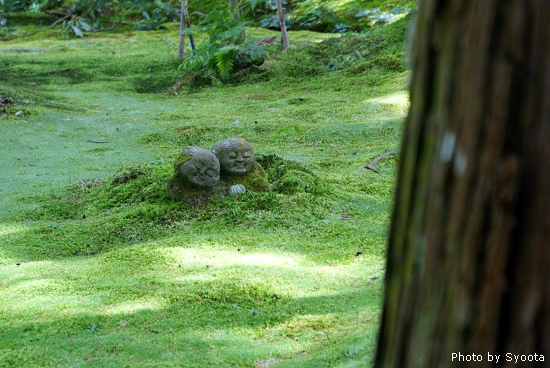 D2-3 大原三千院 (62).jpg