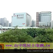 樹海 樹海