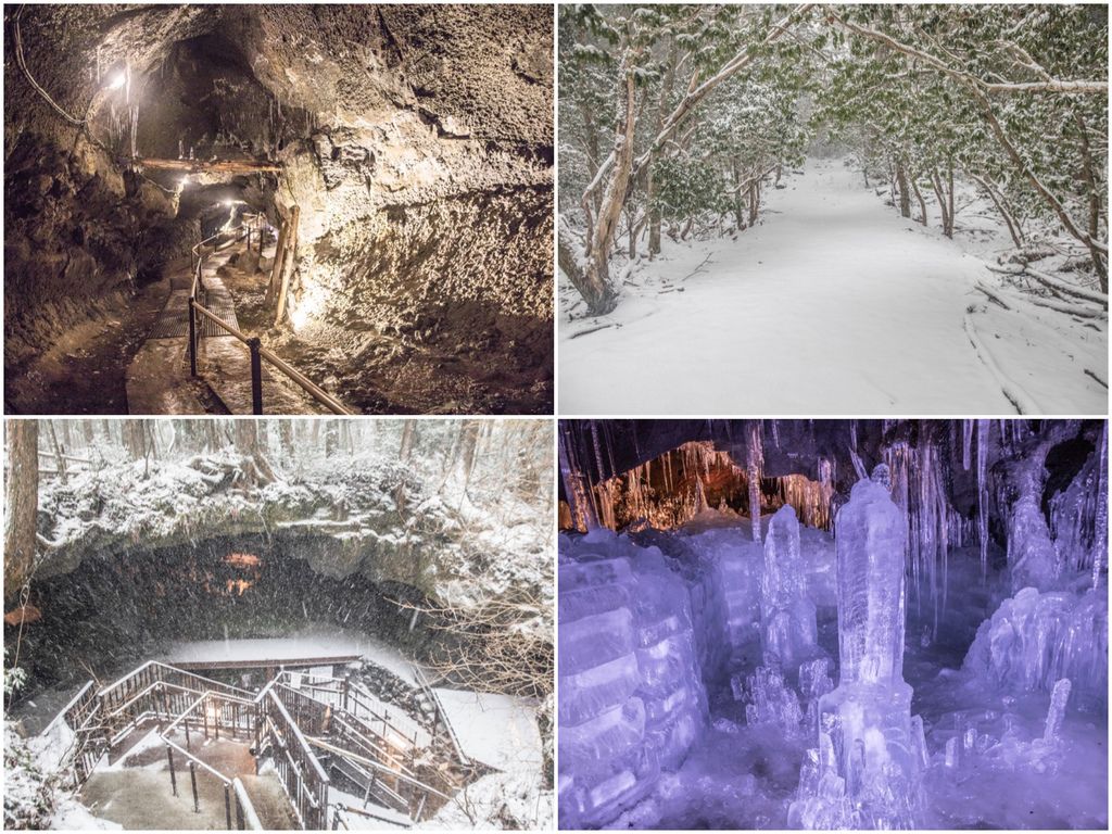 青木原樹海 青木ヶ原樹海 富岳風穴 嗚澤冰穴 山梨縣景點 芭樂看世界 痞客邦