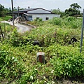 DSC02144-1.jpg