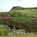 7. 26 石南與兩千多歲的古堡 Dun Beag Broch Isle of Skye