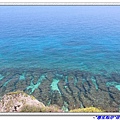 珊瑚礁海景.jpg