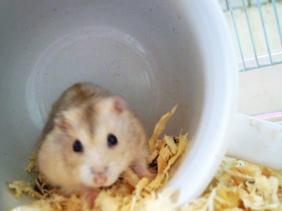 2上1 (11).jpg 2上1 (11).jpg