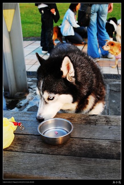 DSC_0006.jpg DSC_0006.jpg