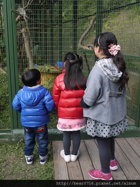 20140204-森林鳥花園 009.JPG