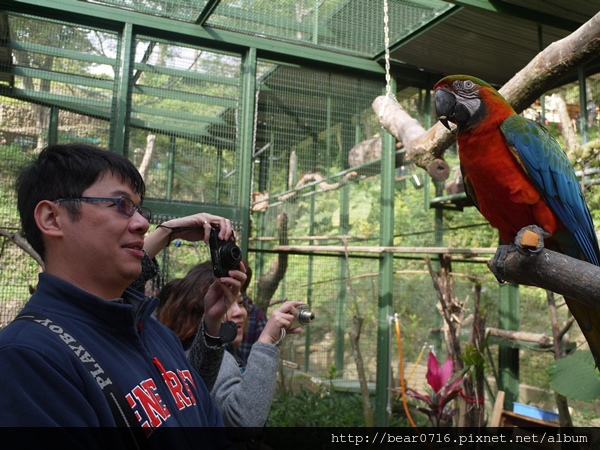 20140204-森林鳥花園 016.JPG