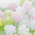 pictures_photos_romantic_colorful_sweets_da308056s.jpg