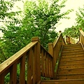 木製樓梯