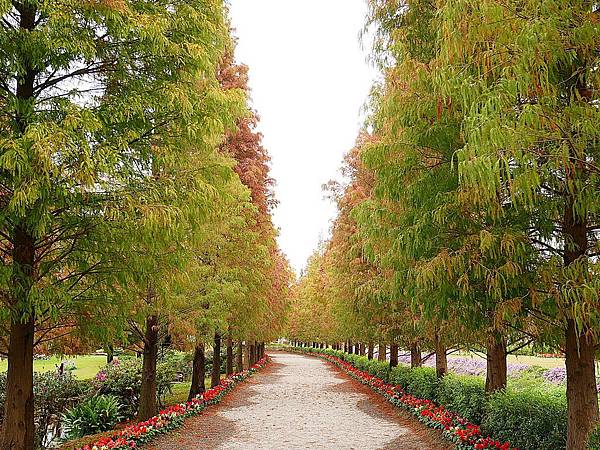 成美文化園-彰化永靖景點，號稱台版兼六園的超美園區，一年四季