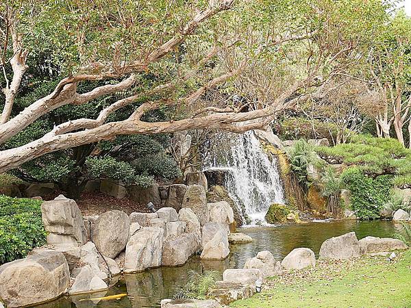 成美文化園-彰化永靖景點，號稱台版兼六園的超美園區，一年四季