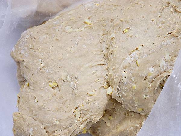 P2450435.JPG P2450435.JPG