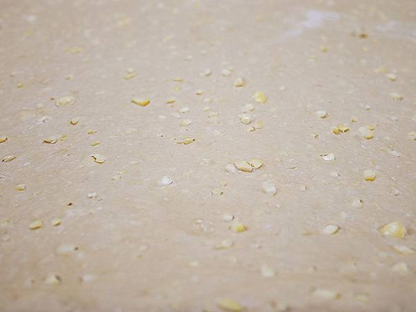 P2450466.JPG P2450466.JPG