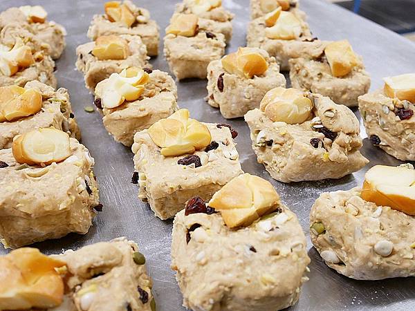 P2450455.JPG P2450455.JPG