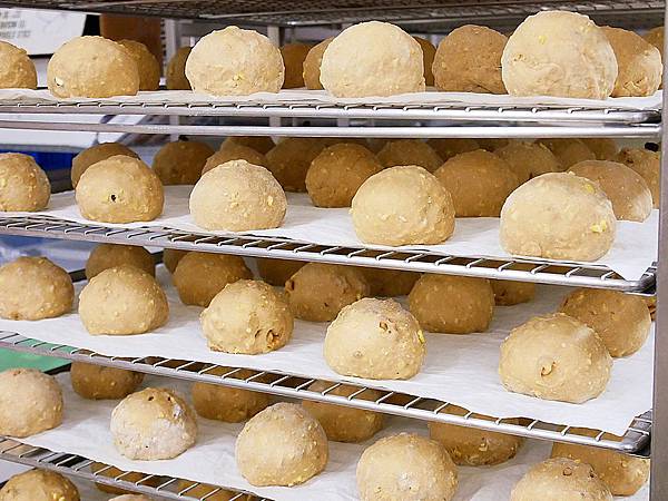 P2450499.JPG P2450499.JPG