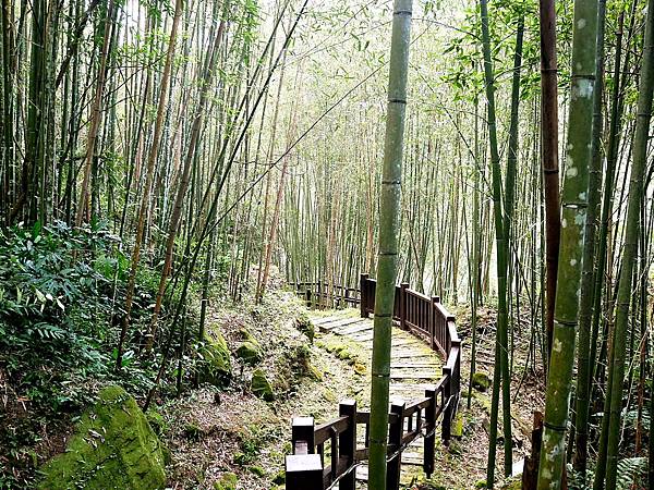 圓潭自然生態園區-嘉義免門票生態區，平坦步道老幼皆宜，看瀑布