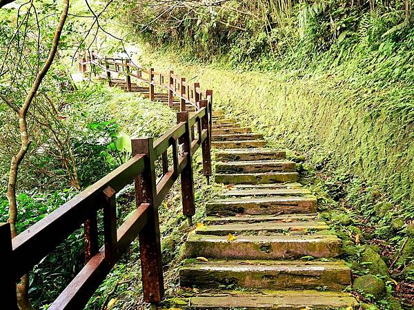 圓潭自然生態園區-嘉義免門票生態區，平坦步道老幼皆宜，看瀑布