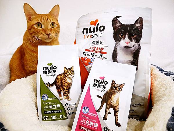 P3930381.JPG P3930381.JPG