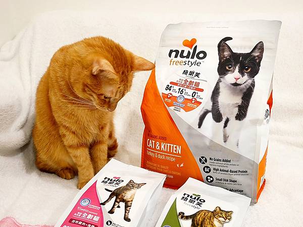 P3930342.JPG P3930342.JPG